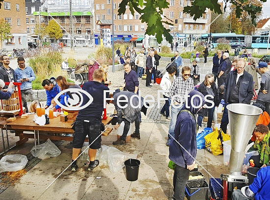 Æblefestival på Brønshøj Torv