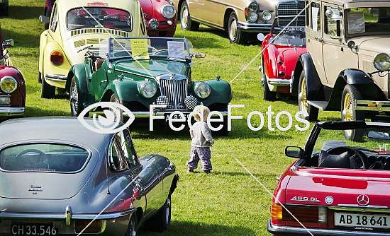 Biludstilling, Historic Car Park