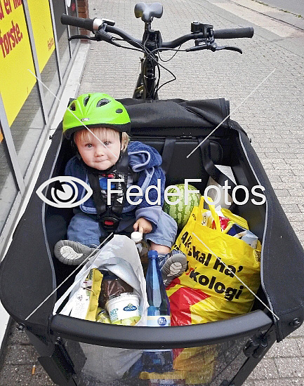 Madvarer og lille dreng i ladcykel