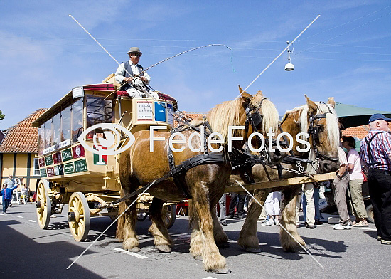 Markedsdag