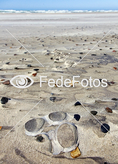 Plastik på strand