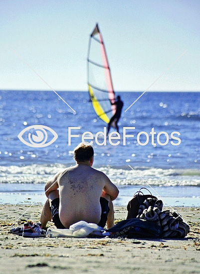 Windsurfer